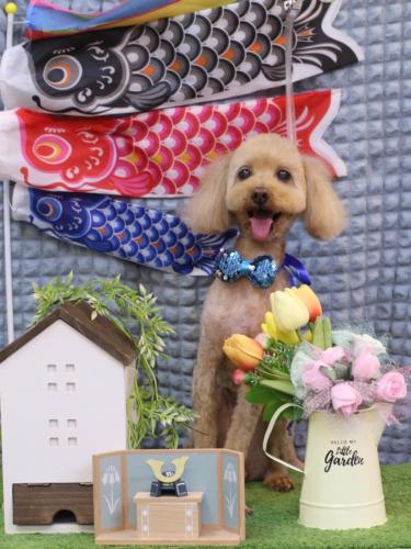 20230531菜々歌ちゃん